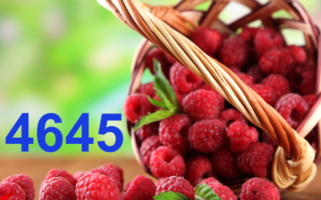 Himbeeren